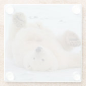 ホッキョクグマ, Ursus maritimus, 子グマ 転がる 3 ガラスコースター (裏面)