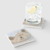 ホッキョクグマ, Ursus maritimus, 子グマ 転がる 3 ストーンコースター (横)
