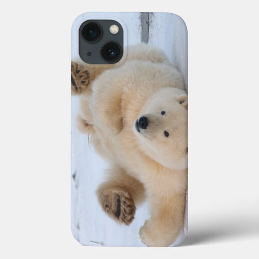 ホッキョクグマ, Ursus maritimus, 子グマ 転がる 3 Case-Mate iPhoneケース (裏面)