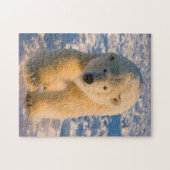 ホッキョクグマ、Ursus maritimus、氷上のホッキョクグマ ジグソーパズル (横)
