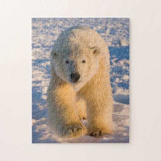 ホッキョクグマ、Ursus maritimus、氷上のホッキョクグマ ジグソーパズル (縦)