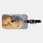 ホッキョクグマ, Ursus maritimus, 氷上のホッキョクグマ ラゲッジタグ (正面横)