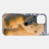 ホッキョクグマ, Ursus maritimus, 氷上のホッキョクグマ Case-Mate iPhoneケース (裏面 (横))