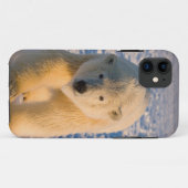 ホッキョクグマ, Ursus maritimus, 氷上のホッキョクグマ Case-Mate iPhoneケース (裏面(横))