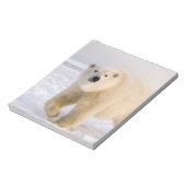 ホッキョクグマ, Ursus maritimus, 氷雪の上, 2 ノートパッド (回転)