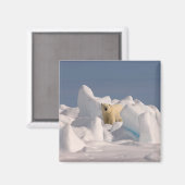 ホッキョクグマ、Ursus maritimus、荒れた氷の上 マグネット (正面/裏面)