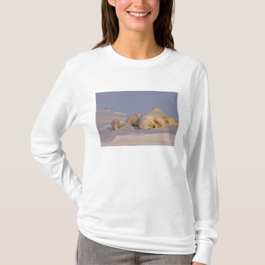 ホッキョクグマ、Ursus maritimus、遊ぶ母グマ Tシャツ (正面)