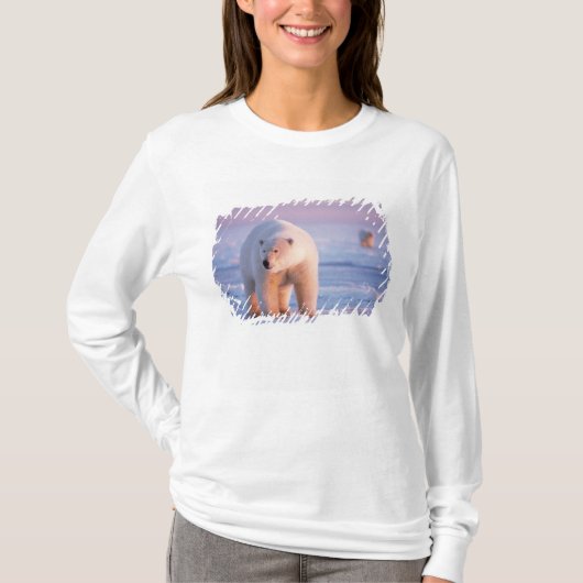 ホッキョクグマ, Ursus maritimus Tシャツ (正面)