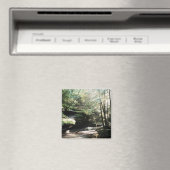 ホッキングヒルズオールドマンズケーブマグネット マグネット (インサイチュ (食洗機))