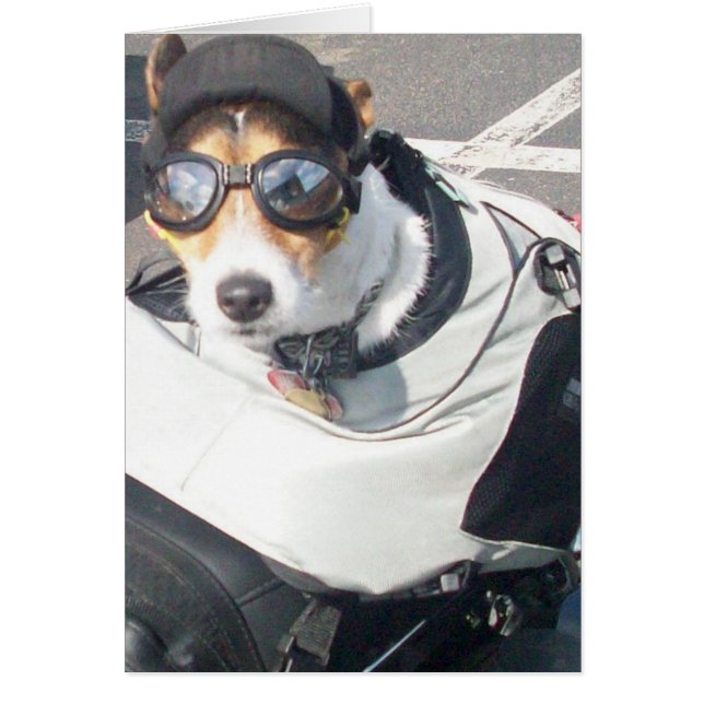 ホッグドッグ (正面)