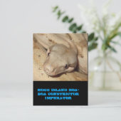 ホッグ島ボア ポストカード (スタンド正面)