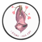 ホッケーおもしろいパックスよくはしゃぐロッススマイルカスタム文字 アイスホッケーパック (正面)