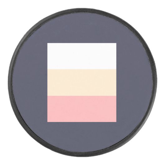 ホッケーパック (正面)