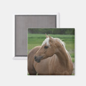 ホッツシズリンジャック マグネット (正面/裏面)