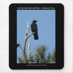 ホッツ春国立公園， AR - American Crow マウスパッド