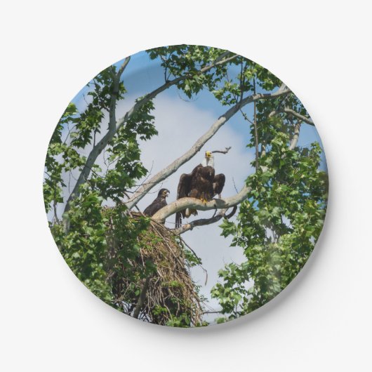 ホットイーグルス ペーパープレート (正面)