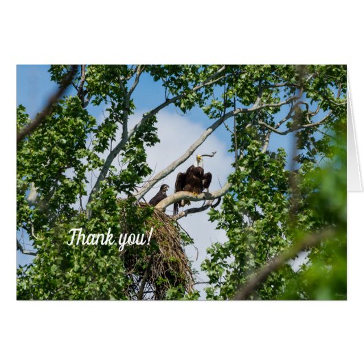 ホットイーグルズサンキューカード (正面横)