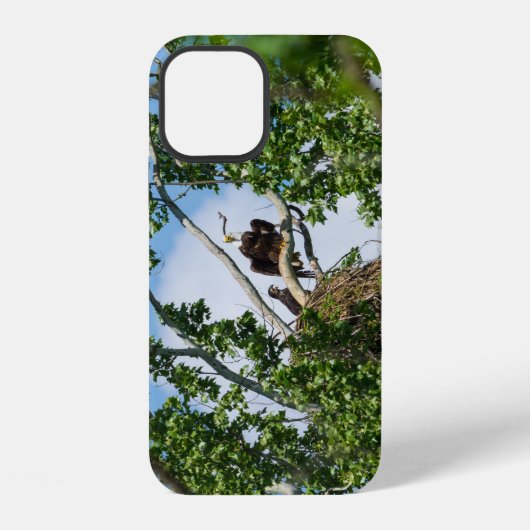 ホットイーグル iPhone カー iPhoneケース (裏面)