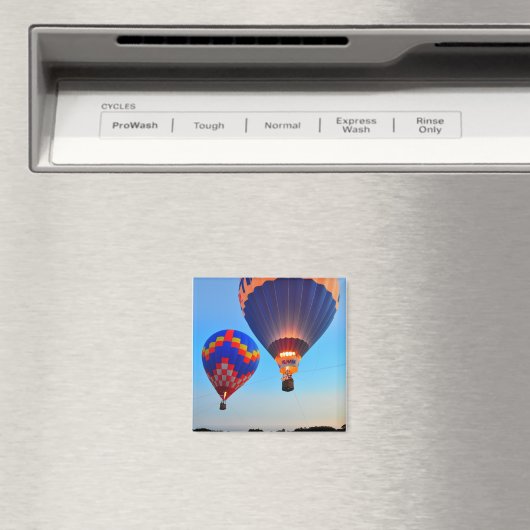 ホットエアバルーン乗り新しいSmyrnaビーチFLマグネット マグネット (インサイチュ (食洗機))