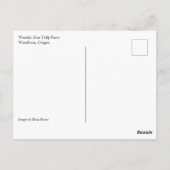 ホットエアバルーン付き赤と黄色のチューリップフィールド ポストカード (裏面)