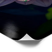 ホットオレンジとピンクダリアの花 ポスター (コーナー)