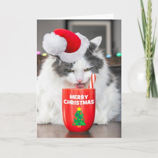 ホットココアを飲む猫のためのメリークリスマス シーズンカード (正面)