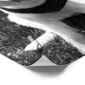 ホットサマードギー日 ポスター (角)