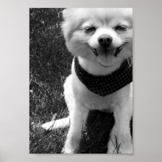 ホットサマードギー日 ポスター