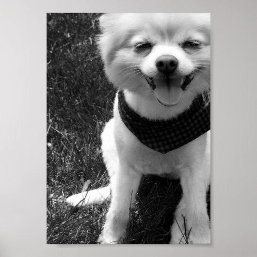 ホットサマードギー日 ポスター (正面)