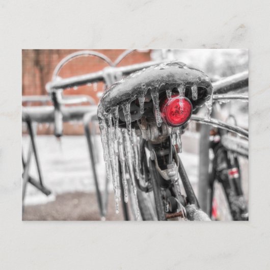 ホットシートコレクションポストカード ポストカード (正面)