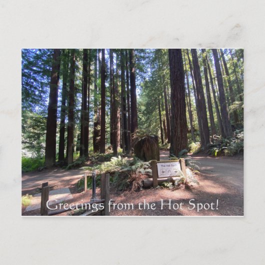 ホットスポットからの挨拶！ ポストカード (正面)