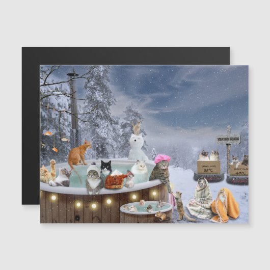 ホットタブ冬場の猫たち (正面/裏面)