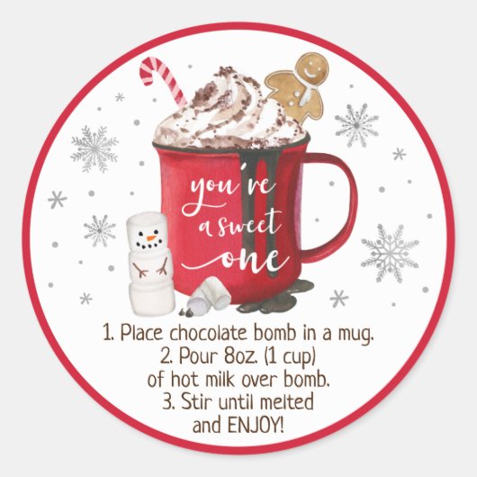 ホットチョコレート爆弾ホットココア爆弾の指示 ラウンドシール (正面)