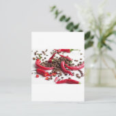 ホットチリカフェ ポストカード (スタンド正面)