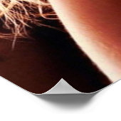 ホットテイラーモンセン ポスター (角)