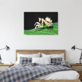 ホットテントマンティスのクローズアップ キャンバスプリント (インサイチュ (寝室))