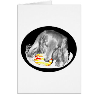 ホットドッグはチーズバーガー、11のニュースを攻撃します