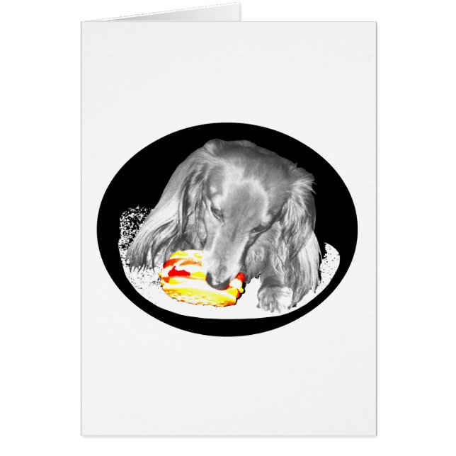 ホットドッグはチーズバーガー、11のニュースを攻撃します (正面)