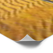 ホットドッグビーチ ポスター (角)