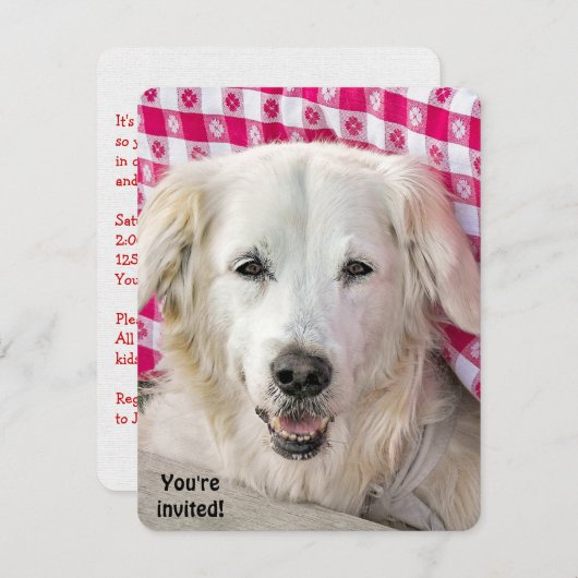 ホットドッグフライの招待状 招待状 (正面/裏面)