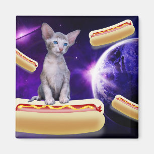 ホットドッグ宇宙付き猫 マグネット