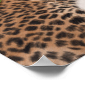 ホットハウスヒョウ |ペア ポスター (角)