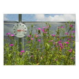 ホットハウス子供部屋カード