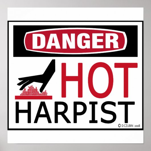 ホットハーピスト ポスター (正面)