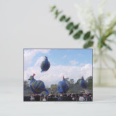 ホットバルーンフェスティバル ポストカード (スタンド正面)