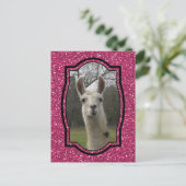 ホットピきらめくンクの明るいNラマ ポストカード (スタンド正面)