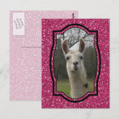 ホットピきらめくンクの明るいNラマ ポストカード (正面/裏面)