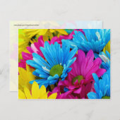 ホットピカラフルンクティール（緑がかった色）ブルーガーベラデイジー花 ポストカード (正面/裏面)
