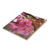 ホットピンクさくらんぼ花 タイル (側面)