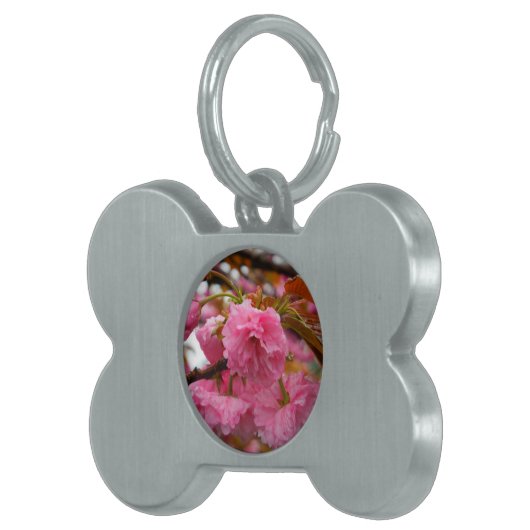 ホットピンクさくらんぼ花 ペットネームタグ (正面右)